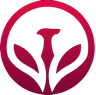 KAIZORA